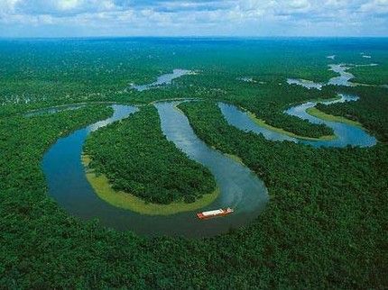 亚马逊丛林