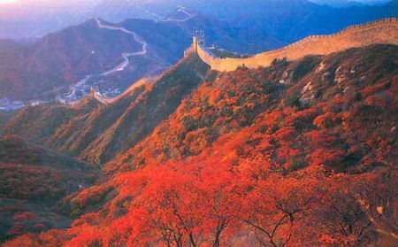 北京:香山红叶到了最佳观赏期