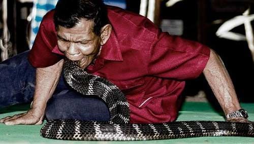 神奇的泰国眼镜蛇村 传说很多游客死于蛇毒