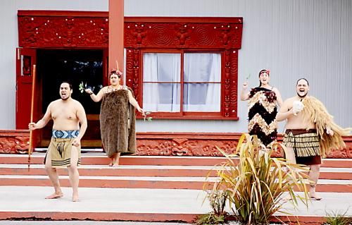 新西兰民俗能左右房价 毛利人喜欢住平房_新浪