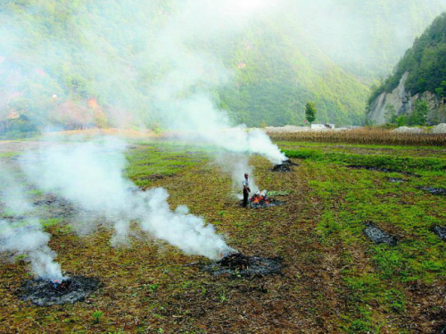 商洛焚烧秸秆现象屡禁不止 造成环境污染资源